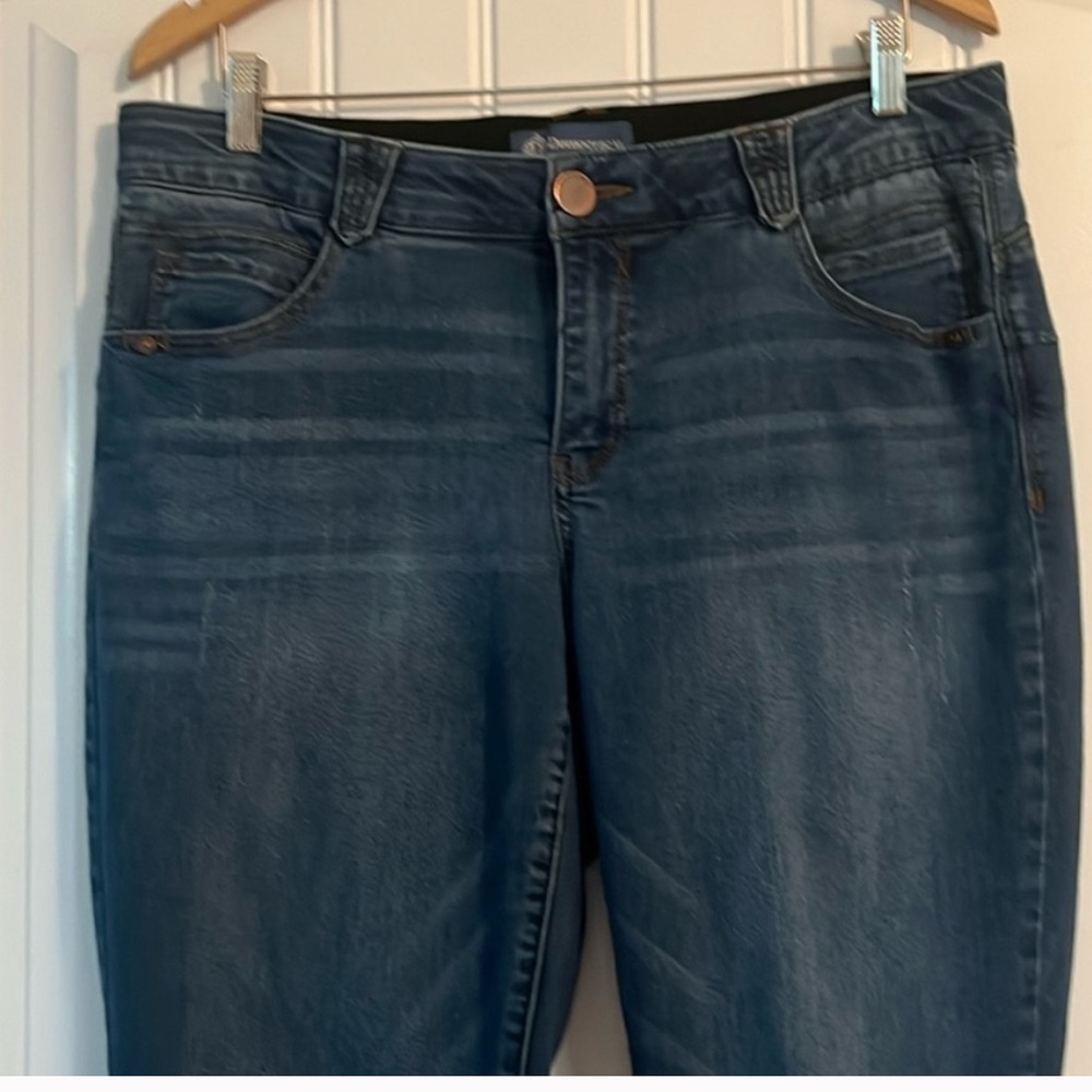 Democracy ab Solution Jeans Size 16w